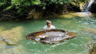 The girl excitedly dived into the water and caught the giant clam harvesting its sparkling pearls [upl. by Bram153]