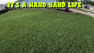 Lawn Woes and Future Progress [upl. by Marcel]