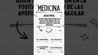 Quién toma inserción en la fosita por debajo de las Apófisis Geni del Maxilar Inferior anatomia [upl. by Nicolle186]