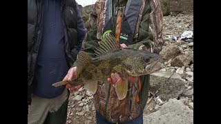 Bank Fishing for Huge Trophy Sauger [upl. by Colyer]