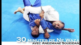 Judo 30 minutes de Ne Waza avec Aneemane Soueidan [upl. by Haniraz]