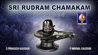 Sri Rudram Chamakam  S Prakash Kaushik amp P Mrinal Kaushik  Powerful Vedic Chants for Prosperity [upl. by Eytak408]