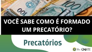 QUANDO UM PROCESSO VIRA UM PRECATÓRIO CARACTERÍSTICA DE UM PRECATÓRIO [upl. by Assetal]