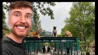 MRBEAST COMPRA EL ZOOLOGICO [upl. by Myers]