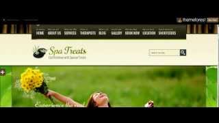 Spa WordPress Theme Preview [upl. by Beghtol]