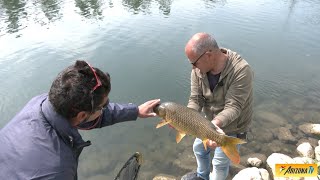 MONDO PESCA  PESCA DI PRIMAVERA  MONTANASO LOMBARDO LODI  CANALE BELGIARDINO  pescasportiva [upl. by Zippel64]