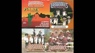 Los Labradores del Naranjo  HUAPANGOS Y CUMBIAS 9 EXITOS [upl. by Calvert]