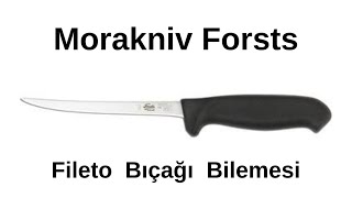 Morakniv Forsts Fileto Bıçağı Bilemesi [upl. by Jankell]