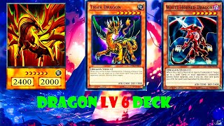 YGOPRODragon deckPrime Material DragonWhiteHorned DragonTiger Dragon [upl. by Nojel347]