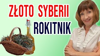 🍀ROKITNIK  Złoto Syberii  właściwości lecznicze [upl. by Aseeram929]