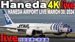 🔵 Live 羽田空港 ライブカメラ Haneda Airport Live March 30 2024 生中継 2024年3月30日 羽田空港 ライブ [upl. by Nnaytsirk]