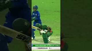 googly delivery by rashidkhan cricket mahmudullah [upl. by Neelia]