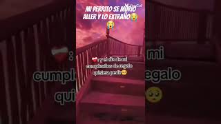 ex traño ami perrito😭😭💔 [upl. by Llertnauq]