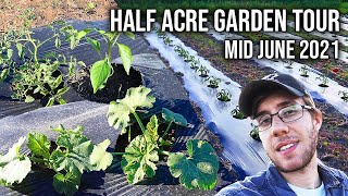 COMPLETE Half Acre Vegetable Garden Tour  Mid June 2021 [upl. by Toinette]