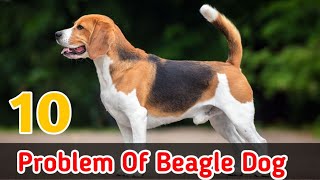 10 problem of beagle dog  Problem Of Dog [upl. by Hewitt]