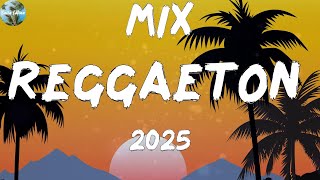 MIX REGGAETON MUSICA 2024  BEST REGGAETON MUSICA MIX 2025  TOP 40 REGGAETON MUSICA 2024 [upl. by Bonine]