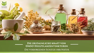 DMSO Heilpflanzen Tinkturen  Dr rer nat Hartmut Fischer [upl. by Matazzoni]