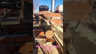 Beautiful Black Locustamazing Satisfying sawmill [upl. by Adena]