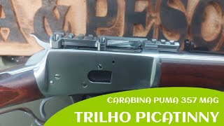 CARABINA PUMA 357 MAGNUM  TRILHO PICATINNY [upl. by Wawro]