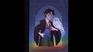 Happy Pride Month ❤️🏳️‍🌈  Harry Potter Pansmione Linny Blairon Drarry [upl. by Odraude]