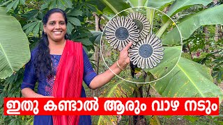 ഇനി ഒന്നും വേസ്റ്റല്ല ലക്ഷങ്ങൾ സമ്പാദിക്കാം crafting  Minis Lifestyle [upl. by Bridges]