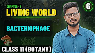 Bacteriophage in Tamil  Living World Tamil 6  Class 11 Botany State Board [upl. by Layton563]