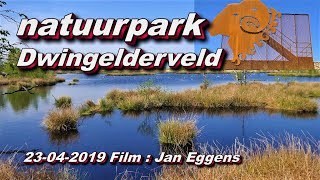 Natuurpark Dwingelderveld 23 04 2019 [upl. by Heinrike582]