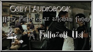 Harry Potter és az azkabani fogoly hangoskönyv remake  4 fejezet [upl. by Nohsed]