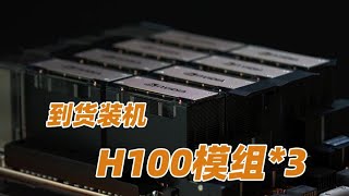 H100模組到貨了，充當勞力的一天 h100 伺服器 英偉達 [upl. by Cleres]