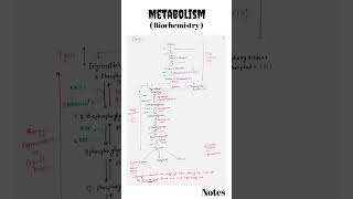 Metabolism  Metabolism Biochemistry  CSIR NET life science metabolism biochemistry csirnet [upl. by Hgierb]