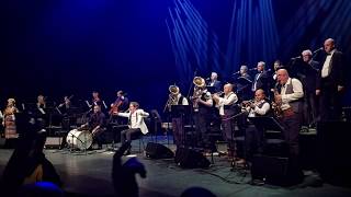 Kalashnikov  Goran Bregovic live in London  01 Mar 2019 [upl. by Selma513]