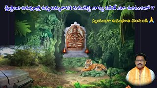 Mysterious journey of Istakameswari temple srisailam ఇస్టకామేస్వరి ఆలయం శ్రీశైలంby GVRambabu [upl. by Aelahs]