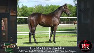 HIP 62 LQHBAYS [upl. by Aruol]