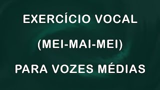 Treinamento Básico MEI  MAI  MEI para VOZES MÉDIAS Barítono ou Mezzo [upl. by Oxley860]