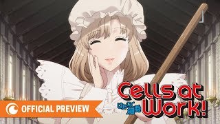 Cells at Work  OFFICIAL PREVIEW [upl. by Anceline952]