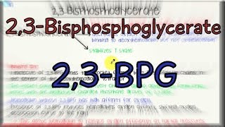 23Bisphosphoglycerate  23BPG  23BPG [upl. by Horton]