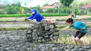 God class maneuvering skills  Operator senior tractor working plowing the rice field [upl. by Matronna697]