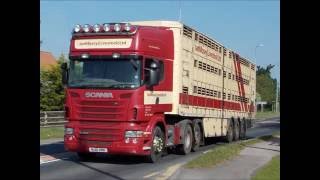 TRUCKS  WITH LIVESTOCK TRAILERS  AT WORK  ROAD  JUNE 2016 [upl. by Elden111]