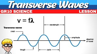 Transverse Waves Grade 10 [upl. by Norraj]