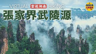 4K Virtual Walk in Zhangjiajie Wulingyuan Scenic Area  Hunan China [upl. by Iridissa944]