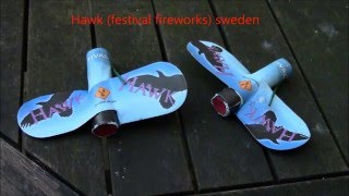 FLYING BEEFIREWORKS [upl. by Inimak]