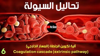 المسار الخارجي coagulation cascade extrinsic pathway [upl. by Oiluj]