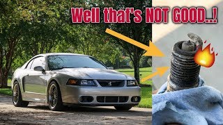 Spark Plug Change Did I Fix It  2003 Mustang Cobra [upl. by Joleen]