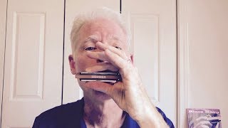 5 cool riffs for beginning blues harmonica players [upl. by Merlin]