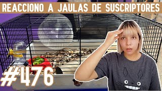 REACCIONO a JAULAS para HAMSTER de SUSCRIPTORES [upl. by Ahsyekat]