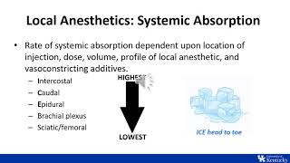 ITE Review  Regional Anesthesia Physiology and Pharmacology  Dr Johnson [upl. by Toback]