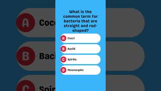 What is the common term for bacteria that are straight and rodshaped [upl. by Roose]