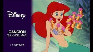 La Sirenita  Canción Bajo el mar  Disney Oficial [upl. by Blanca]