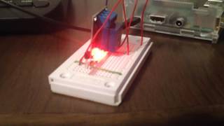 Raspberry Pi with DS18B20 temperature sensor and SRD05VDCSLC relay [upl. by Akirderf613]