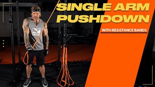 Awesome Resistance Bands Arm Exercise Triceps Pushdowns [upl. by Noreht]